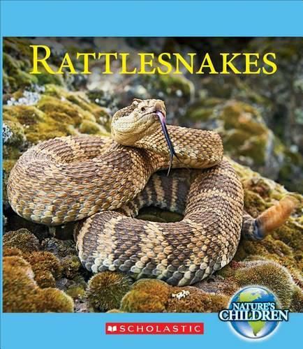 Cover image for Rattlesnakes