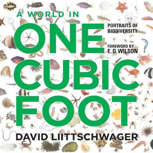 A World in One Cubic Foot