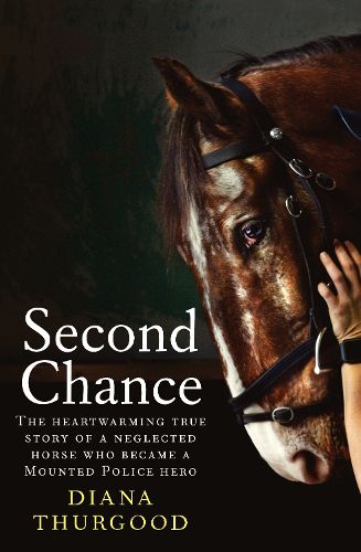 Cover image for Second Chance