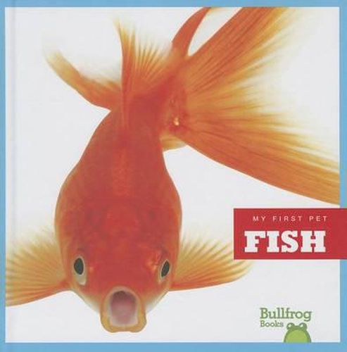 Cover image for Fish