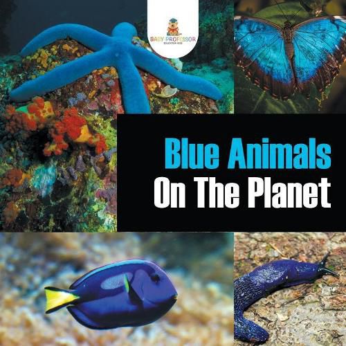 Cover image for Blue Animals On The Planet