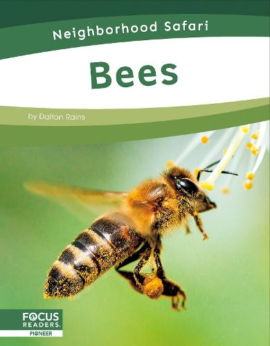 Cover image for Bees