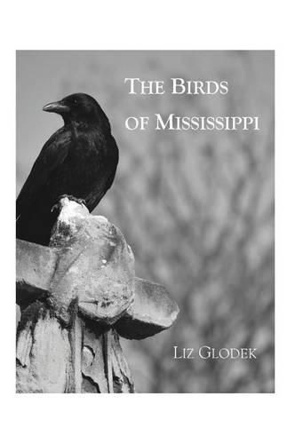 Cover image for The Birds of Mississippi