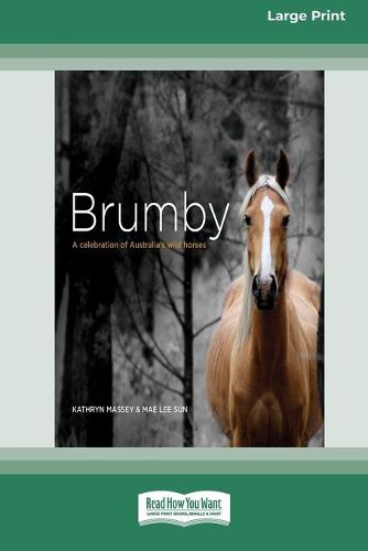 Cover image for Brumby: A Celebration of Australia's Wild Horses (16pt Large Print Edition)