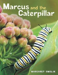 Cover image for Marcus and the Caterpillar