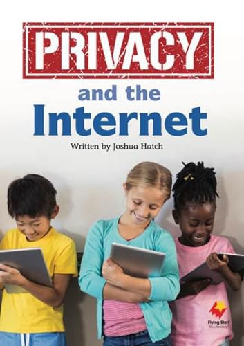 Cover image for Privacy and the Internet