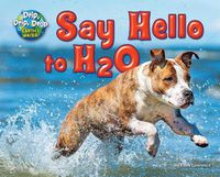 Cover image for Say Hello to H2O