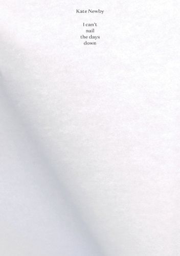 Cover image for Kate Newby - I can"t nail the days down