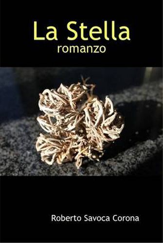 Cover image for La Stella