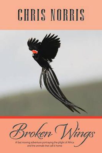 Cover image for Broken Wings