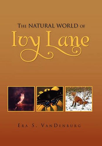 Cover image for The Natural World of Ivy Lane