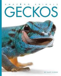 Cover image for Amazing Animals Geckos