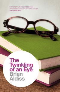 Cover image for The Twinkling of an Eye