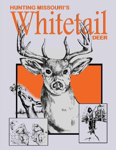 Cover image for Hunting Missouri's Whitetail Deer