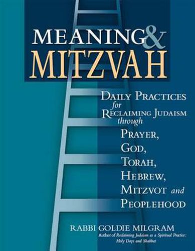 Cover image for Meaning & Mitzvah: Daily Practices for Reclaiming Judaism through Prayer, God, Torah, Hebrew, Mitzvot and Peoplehood