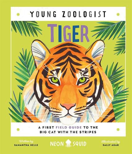 Cover image for Tiger (Young Zoologist)