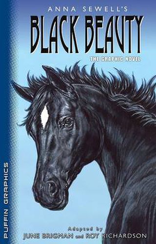 Cover image for Puffin Graphics: Black Beauty