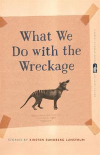 Cover image for What We Do with the Wreckage: Stories