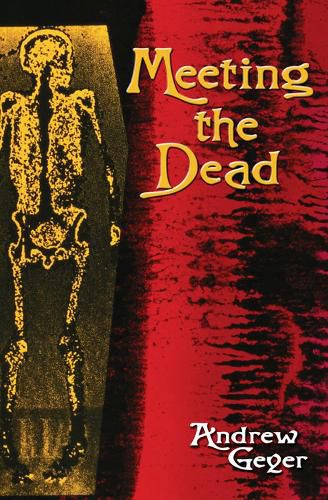 Cover image for Meeting the Dead: A Novel