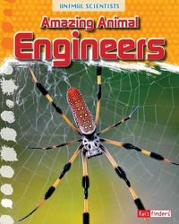 Cover image for Engineers