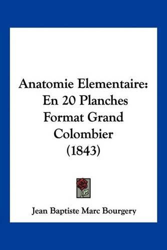 Anatomie Elementaire: En 20 Planches Format Grand Colombier (1843)