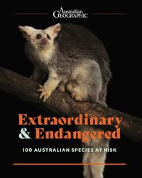 Cover image for Extraordinary & Endangered