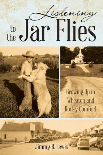 Cover image for Listening to the Jar Flies