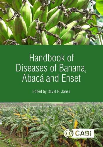 Cover image for Handbook of Diseases of Banana, Abaca and Enset