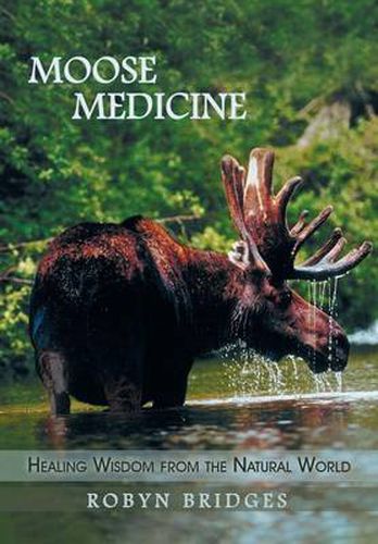 Cover image for Moose Medicine: Healing Wisdom from the Natural World