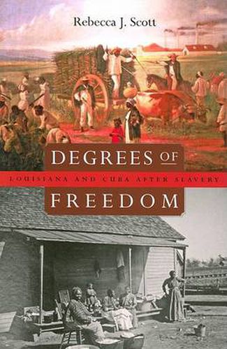 Cover image for Degrees of Freedom: Louisiana and Cuba after Slavery