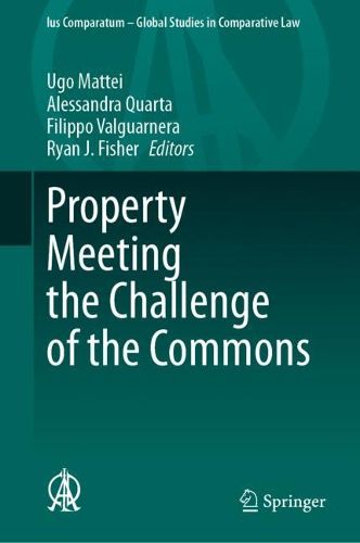 Cover image for Property Meeting the Challenge of the Commons