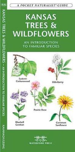 Cover image for Kansas Trees & Wildflowers: A Folding Pocket Guide to Familiar Species