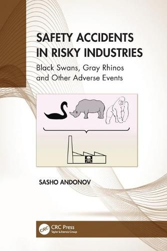 Cover image for Safety Accidents in Risky Industries: Black Swans, Gray Rhinos and Other Adverse Events