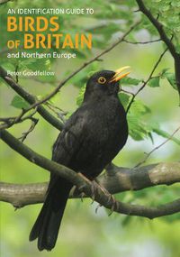 Cover image for An Identification Guide to Birds of Britain and Northern Europe (2nd edition)