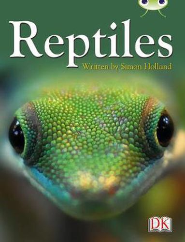 BC NF Red (KS2) B/5B Reptiles