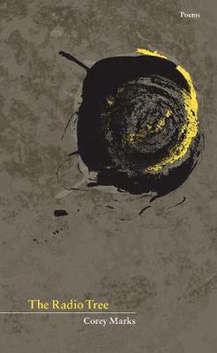 Cover image for The Radio Tree