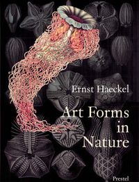 Cover image for Art Forms in Nature: The Prints of Ernst Haeckel