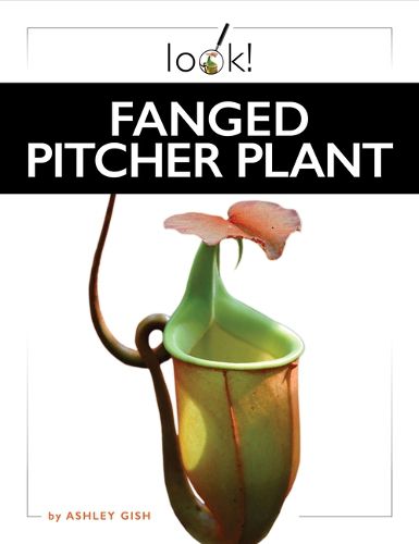 Cover image for Fanged Pitcher Plant