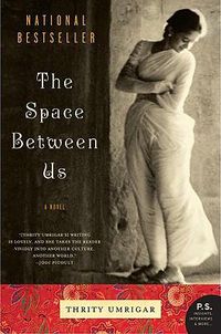 Cover image for The Space Between Us