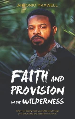 Cover image for Faith and Provision in the Wilderness