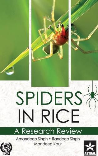 Cover image for Spiders in Rice: A Research Review