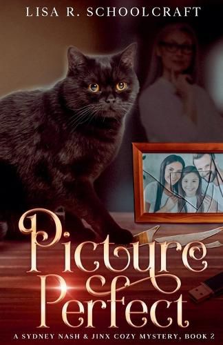 Cover image for Picture Perfect