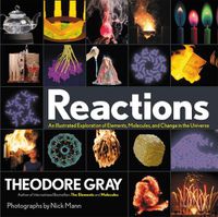 Cover image for Reactions: An Illustrated Exploration of Elements, Molecules, and Change in the Universe