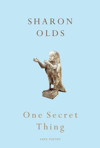 Cover image for One Secret Thing