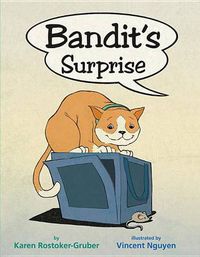 Cover image for Bandit's Surprise