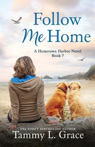 Cover image for Follow Me Home