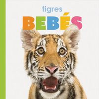 Cover image for Tigres Bebes