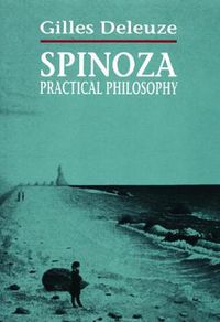 Cover image for Spinoza: Practical Philosophy