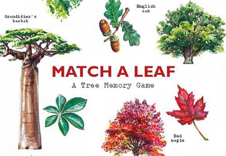 Cover image for Match A Leaf A Tree Memory Game A Tree Memory Game