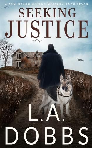 Cover image for Seeking Justice